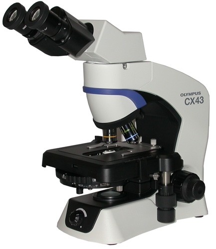 Olympus CX43 Phase Contrast Microscope LED